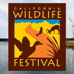 Logo DesignCalifornia Wildlife Festival