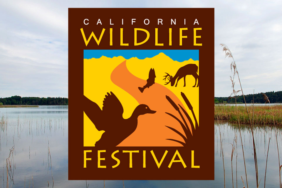 Logo DesignCalifornia Wildlife Festival
